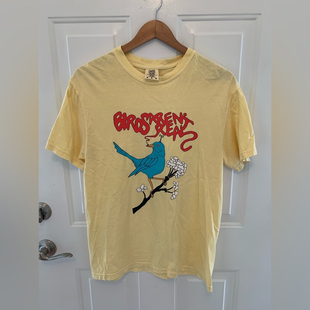 Birds Aren’t Real Mens T-shirt